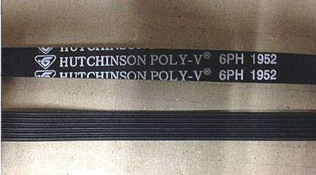 Classique Dryer Belt CL7DRY, 6PH 1952 1952MM