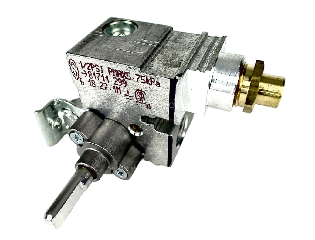 Electrolux Gas Hob Tap Wok Burner EHGC77BS Pnc 943253588 EHGC97BS Pnc 943253589 (Copy)