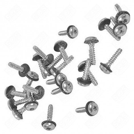 Electrolux Screw Pack Fixing Burner - 50294266007 NO LONGER AVAILABLE