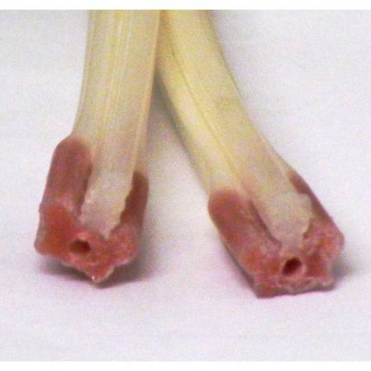 Fisher Paykel Dishdraw Lid Seal 525031P