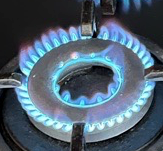 Fisher & Paykel Cooktop Wok Burner Igniter Lead and Candle Wok CG604DLPGB4