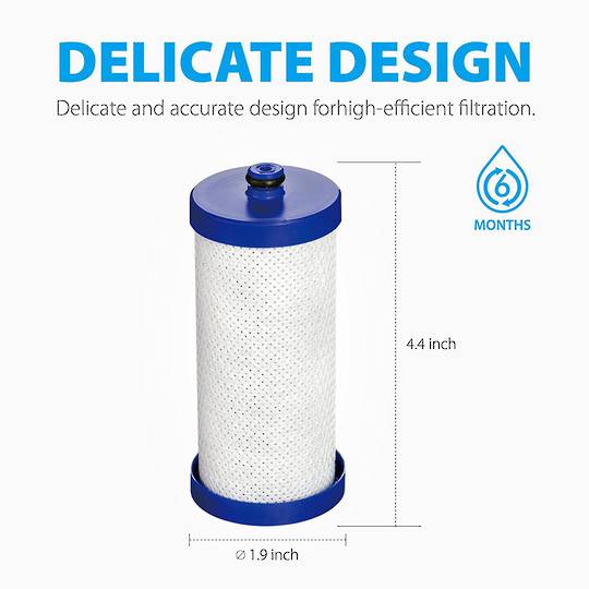 Westinghouse Electrolux Frigidaire Fridge Water Filter RS643T, RS643V, RS645V, RS643T, RS645T, RS643V*05, RS645V, RS643V*10, Rs
