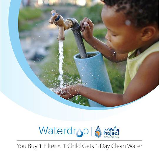 LG Fridge Water Filter Internal LT500P