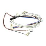 Simpson Washing Machine Lid Switch and Harness Assy 36P450L, Eziset 450, Eziset 550, Eziset 605, Eziset 750, Eziset, 800, Eziset
