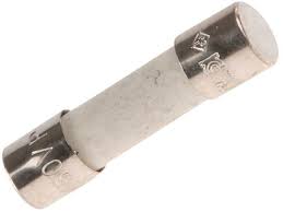 Fuse 10A 240VA 17470000001538 20mm long 10AMP