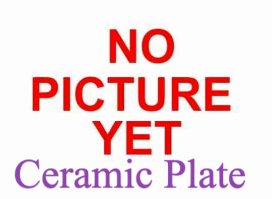 Panasonic Microwave Ceramic Plate DS592B, *T9M10QP